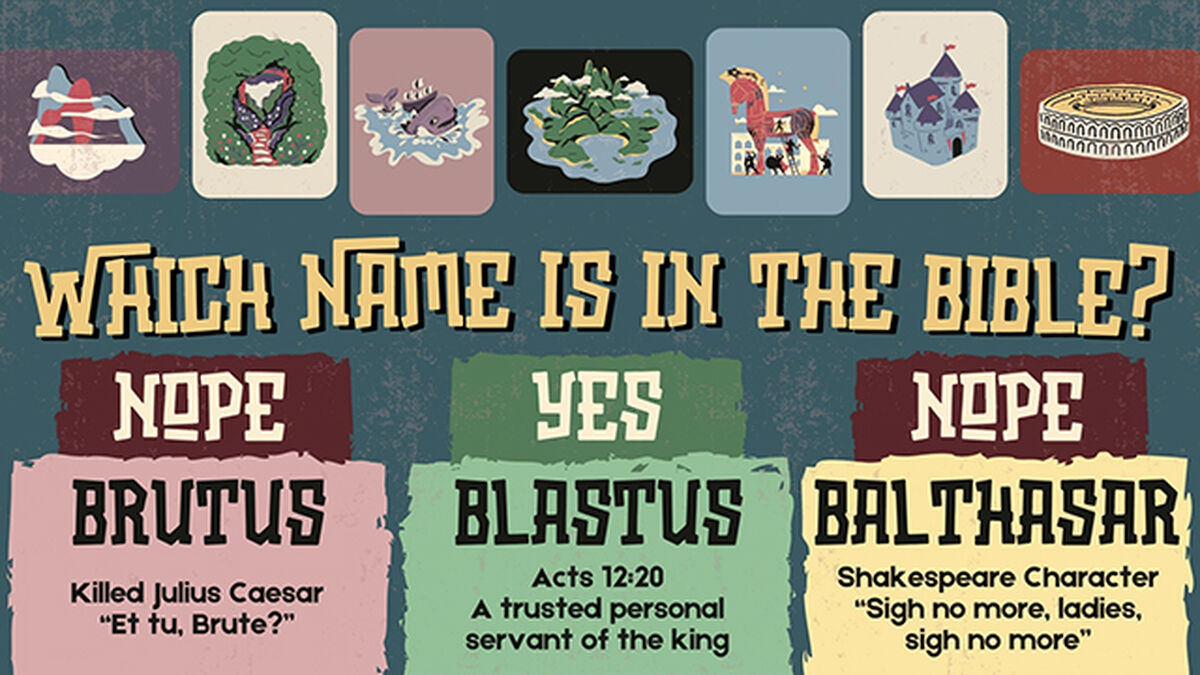 The Name Game image number null